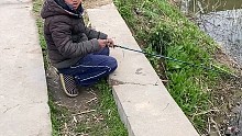 这位钓鱼大神已经在这个桥头钓半个月鱼了，虽然每天都是空军，但是他每天都是早早的到此地，他这不屈不挠的