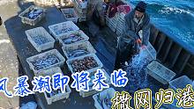 海上风暴即将来临，老海霸气收网归港，轻轻松松拉到海螺20斤