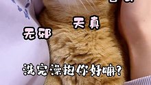 小猫咪的面孔！！！