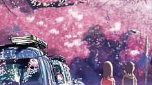 雨中的「秒速5厘米」樱花抄