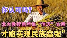 北大教授说“消灭”农民才能实现民族富强，这种观点看法你认可吗