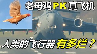 老母鸡PK真飞机，人类的飞行器有多烂？不可思议地飞鸡