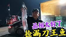 老海捡漏捡到刀王鱼！这品相渔民都不舍得动它，活似把5指宽大刀
