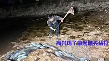 妈妈说鱼塘里有东西，儿子过去打开电筒一照，高兴坏了用锄头猛打