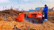 老铁 来看这款机器 你懂吗   #农业机械 #秸秆还田 #农机