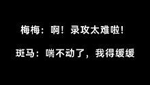 【限时占有丨花絮】倒霉死勒：我不生孩子！斑马：你没有他的子嗣！