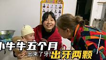 小牛牛快五个月了，今天惊喜发现长出两颗牙！期待小家伙的双眼皮