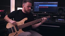Simon Grove - Plini - Impulse Voices (Bass Playthr