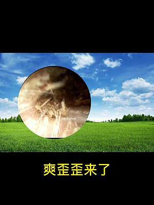 短小精悍