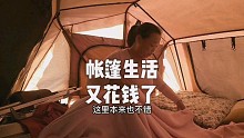 斥巨资逛森林公园，来一场偶遇