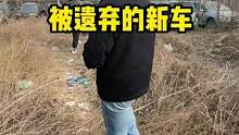 大连荒废草丛中探宝被遗弃的新车