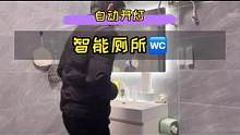 花1分钟感受下智能上厕所体验#卫生间好物 #提升幸福感好物 #自装日记