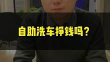 自助洗车店可以当做营生，但要想指望自助洗车挣钱，看完视频你就明白了。#自助洗车 #创业 #维尔卡特 