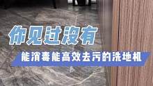 这样除菌+高温洗地功能的洗地机，会不会是下一个趋势？#放肆躁用顺造 #顺造洗地机 #抖in好奇新