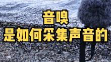 本期节目聊一聊"音嗅是如何采集声音和视频的"。
你们看到每一集白噪音视频都是我们现场实地录制的，背后