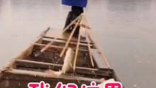 最古老的捕鱼方式，你知道怎么做吗，欢迎评论区留言#捕鱼 #我要上热门 #热门 #户外 #钓鱼人 