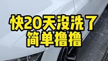 掐指一算，这台车快20天没洗了，花一个小时简单撸撸#洗车 #撸车日常