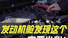 保护发动机舱的妙招#每天一个用车知识 #汽车维修 #汽车人共创计划 #用车有妙招 