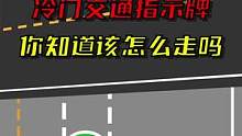 冷门交通标识，这种道路也比较少见#驾校一点通 #交通 #交通规则 