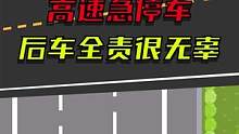 前车急停车，后车倒大霉#驾校一点通 #交通 #交通安全 