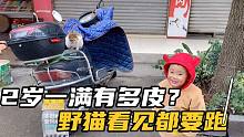 小成带一满去买水果，小家伙路上看见猫咪走不动，想把它带回家