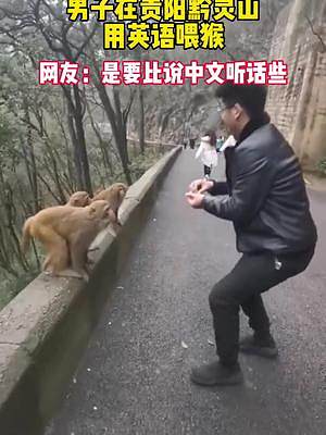 男子在贵阳黔灵山用英语喂猴，猴儿们超听话！