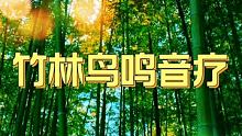 细风拂竹鸟翠鸣，竹海细流抚耳神！精心制作，助眠安神 治愈助睡眠音乐