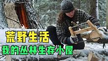 冬季丛林营地露营-雕刻、小木屋改造和砍柴，回到我的丛林小木屋，做柴火，雕刻铲子，做饭，享受冬天的森林