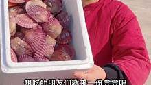 因为时常有限，很多时候视频都剪切了，每次都咽下去了哦#海鲜原产地 #好物年货节 #扇贝 #源头好生鲜