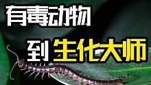 这种暴饮暴食却不患糖尿病的“毒物”，它的毒液或将有效治疗肥胖