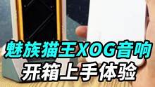 魅族和猫王XOG做的音响，我咋觉得这玩意比手机还香？#十万个为什么