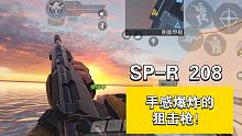 SPR-R 208手感贼好的狙击枪