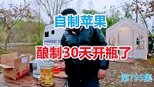 深山房车安家岛主自制苹果酒，酿制30天这味道惊艳了
