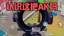 香肠派对：认识这把AK吗