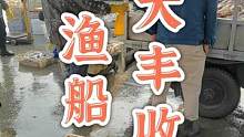 渔船回来啦，今天渔船大丰收哦，快来看看有没有你喜欢吃的海鱼#天然海鲜 #海鲜水产 #野生海鲜 