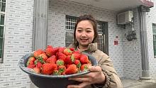 阿爽去水果市场买草莓，价格比水果店便宜一大半，今天捡大便宜了