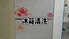 冰箱清洗，有些地方太长就省略了下，还有什么问题欢迎留言#竹洋洗涤 #冰箱 
