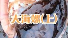 赶海捡到拳头大的花螺，里面黑黑的全是肉，深水坑里还勾出值钱货（上）