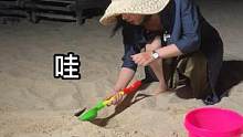来三亚赶海，没想到我竟然在沙滩里挖出了....!!!!#1月16号挑战破2000w粉丝 