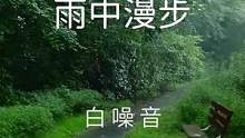 【白噪音】雨中漫步——舒服白噪音氛围声，一个郊区的公园，空气很潮湿，小路上没有一个人。虽然是夏天，但