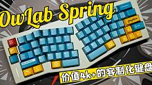 【阿平】一冲动组了把四千块的键盘：OwLab Spring 打字音