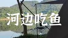 河边露营，捕鱼吃鱼#露营 #露营报告 