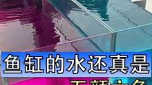 关于蛋白棉除黄水的效果不需要质疑，但是如果色素过多，净化也需要时间，另外鱼缸水发白发绿确实不归蛋白棉