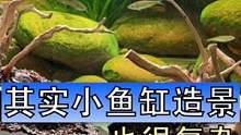 小鱼缸造景，用的材料不多，但花的功夫可一点也不少，喜欢的朋友点点小红心，支持一下吧#生态缸 #造景