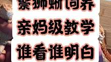 #潘大庆的爬宠日记 #鬃狮蜥 这次真是亲妈级别的教学了！所有内容仅代表我自己的观点！