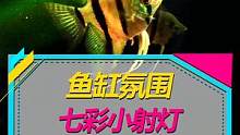 鱼缸彩色小射灯，好看好玩#水族 #南美缸 #观赏鱼 #养鱼日记 
