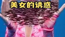 连小鱼也难抵美女的诱惑！#海洋生物 #海底世界 #海洋 #海底世界真奇妙 #大海的馈赠 