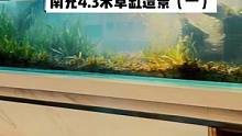 4.3米草缸造景记实（一）：翻缸#水草缸 #草缸 #水草造景 #鱼缸造景 #造景鱼缸 #南美缸 #南