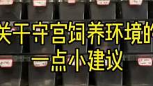关于豹纹守宫饲养环境的一点小建议#爬宠日常 #萌宠出道计划 #萌宠 #豹纹守宫