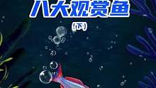 鱼友们还晓得那些颜值比较高的观赏鱼呢？#观赏鱼 #鱼 #水族 #玻璃缸中的大自然 